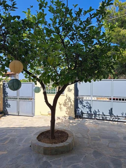 Hestia Airport House - Artemis Apartamento Exterior foto